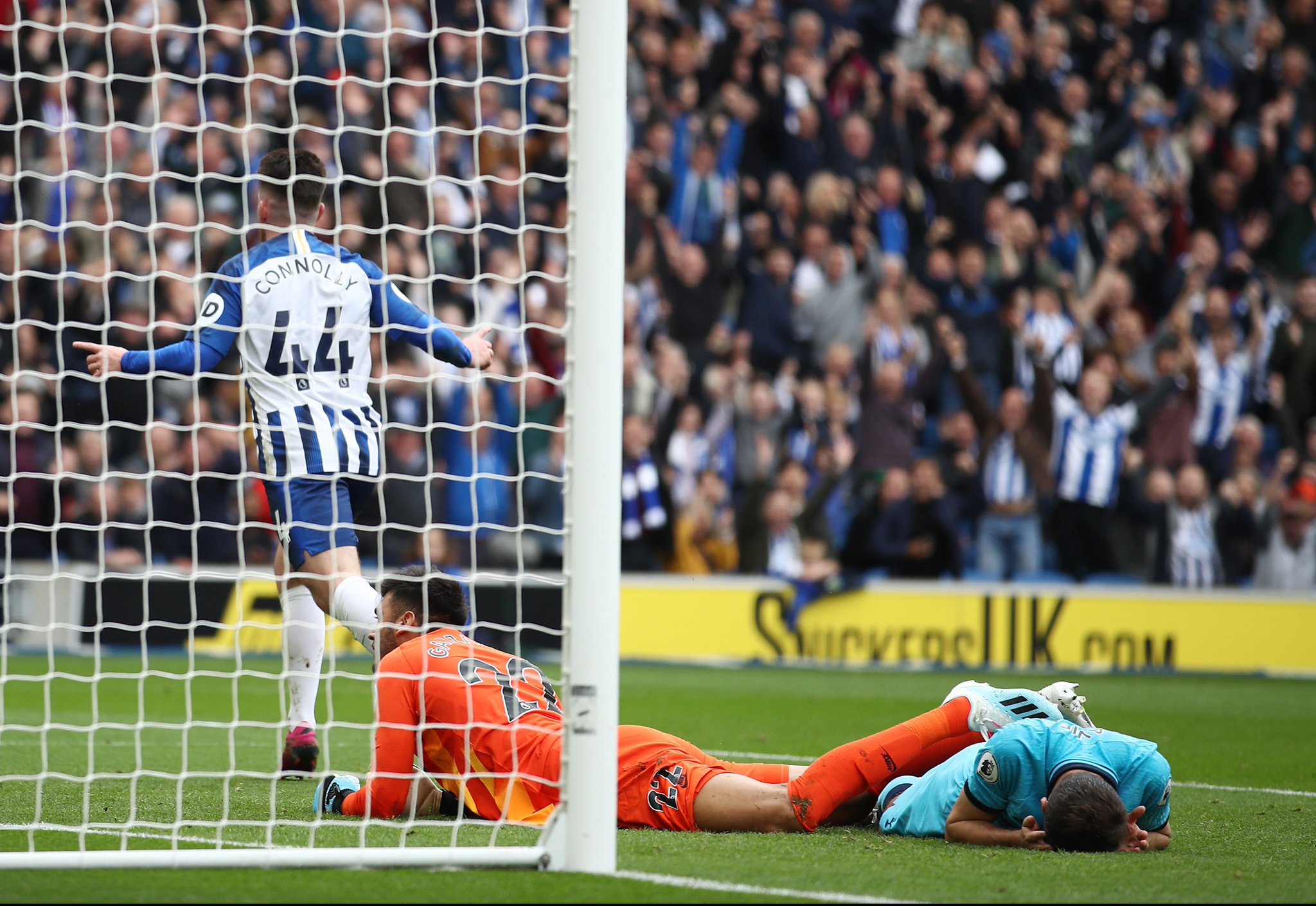 了显著的回 了显著的回